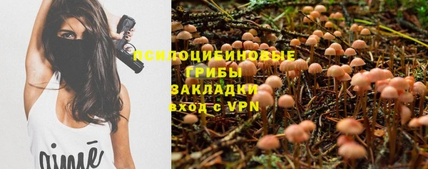 марихуана Каменногорск